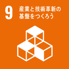 SDGS9